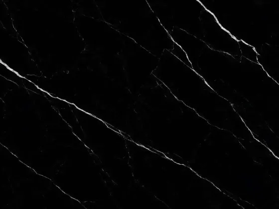 Black Marquino (Imported)
