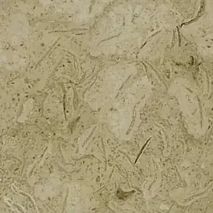 Trevera Marble